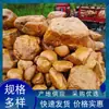 Piedra de Cera Amarilla Natural de Anhui, Piedra Amarilla Natural para Céspedes de Jardín, Piedra Amarilla para Estanques de Peces, Rocallas, Taludes y Arroyos