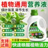 Solución Nutritiva para Plantas de Jardín, Fertilizante General para Flores, Fertilizante Hidropónico, Solución Nutritiva para Hojas de Potos en Maceta para Plantas Verdes del Hogar