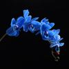 7 cabezas tacto suave de goma hidratante phalaenopsis de alta gama comercio exterior flor artificial flor falsa boda festividad decoración del hogar Floricultura