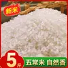 Wuchang Arroz Arroz Novo Arroz Aromático Grão Longo Vácuo Ecológico Fabricante Venda Direta Arroz Atacado