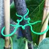 Jardinería Transfronteriza Hebilla en Forma de 8 Vid Trepadora Tomate Hebilla Correa de Amarre Hebilla en Forma de 8 Hebilla Fija para Plantas Círculo de Calabaza Combinación de Jardín