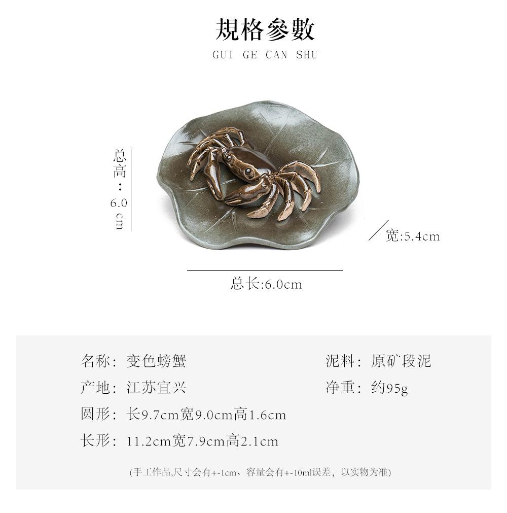 变色螃蟹20230516 (34).jpg