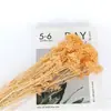 Atacado Flor de Milho Flor Seca Imortal Cor Bleached Flor Real Decoração de Casa Pacote de Material DIY Flor Imortal Transfronteiriça