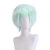 Principais fabricantes de chapéus de cabelo curto europeus e americanos em estoque, peruca de animação cosplay Shengda, cor universal Harajuku anti-deformada