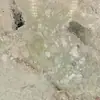 Fábrica de Procesamiento de Placas de Mármol Natural Jardín Monet Azulejos de Piso de Lujo para Sala de Estar Superficies de Pared Mesas Lavabos