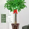 Una generación de árbol de dinero en maceta, sala de estar, maceta grande, oficina, interior, casa próspera, grande, buena, verde, inauguración de la casa, agitar el dinero