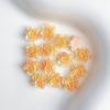 Paquete de materiales para uñas de flor de simulación, joyería para uñas de rosa rosa popular luminosa al por mayor, naranja pomelo