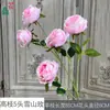 Rosa de Montaña Nieve Rosa Melocotón Flor de Seda Fondo de Pared Decoración Flor Artificial