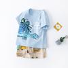 Novo Conjunto de Verão Infantil de Manga Curta, Conjunto de Duas Peças de Shorts Finos 100% Algodão para Meninos, Roupas de Camiseta para Exportação de Meninas, Vestuário Infantil