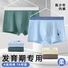 Ropa Interior para Adolescentes Pantalones Cortos de Algodón Puro Estudiantes de Secundaria y Preparatoria Periodo de Pubertad Boxer Talla Plus