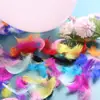 Decoração de enchimento para bola bobo transparente penas coloridas acessórios de fantasia para festa de aniversário joias decoração penas