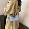 Bolso de Diseño Nicho para Mujer 2024 Principios de Otoño Nueva Moda Bolso de Hombro Sobaco Combinable para Ir al Trabajo Bolso Bandolera