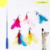 Juguete de caña con plumas de colores para gatos, con varilla larga, resistente a las mordeduras, juguete interactivo para gatos, herramienta de autoentretenimiento, juguete de entrenamiento para gatos