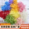 Suministro de Flores Eternas al por Mayor, Hortensia Anna, Cosméticos al por Mayor, Materiales Hechos a Mano para Uñas Artísticas DIY, Accesorios Decorativos