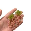 Pendientes de Borla con Cuentas Frescos y Dulces para Mujer, Pendientes Florales Únicos con Estilo Bosque, Pendientes Pequeños de Lazo Adelgazantes