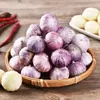Produto novo deste ano alho desidratado de cabeça única alho fresco de casca roxa cabeça de alho única cabeça de alho alho desidratado preço especial saco de vegetais da fazenda 100g