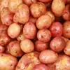 Patatas rojas de piel, amarillas por dentro, frescas de Yunnan, recién cosechadas 10/ 1.5kg semillas de patata pequeñas, patatas cultivadas en granja, venta al por mayor
