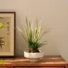 Nuevo macetero de cerámica tipo bola de musgo retro estilo chino, recipiente hidropónico de escritorio simple y de alta gama para plantas de narcisos y helechos