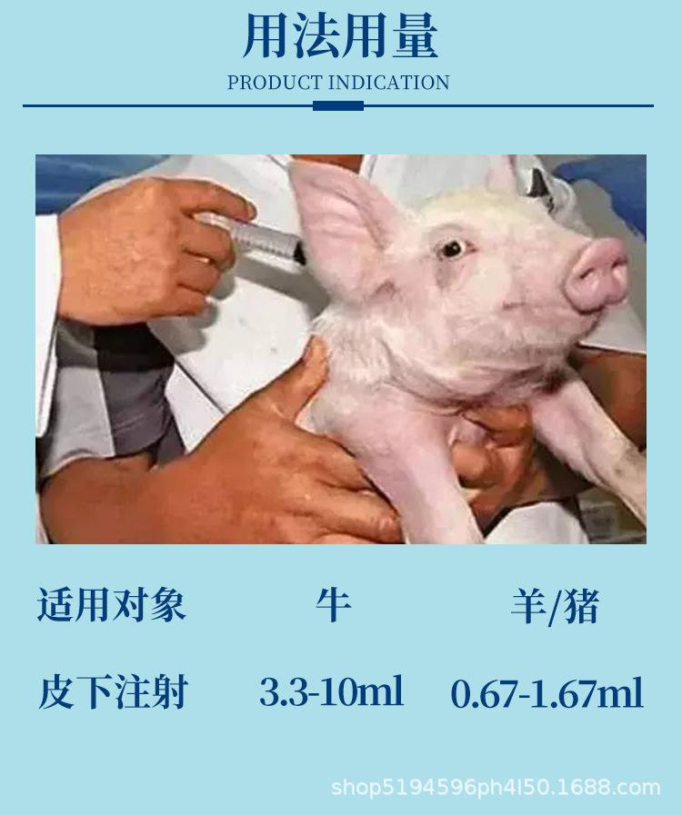 详情页4.jpg