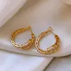 Pendientes de Zirconia con Forma de Serpiente de Lujo Ligero, Diseño de Nicho, Temperamento de Alta Gama, Pendientes de Lujo Ligero, Nuevos Pendientes de Moda Populares para Mujer