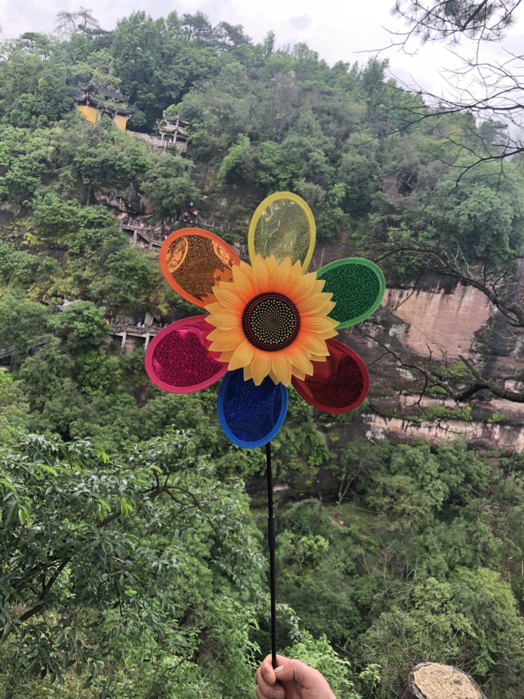 微信图片_20180501203137