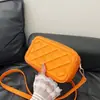 2024 Nova Bolsa Transversal Acolchoada Estilo Francês com Zíper Duplo e Alça Larga Tendência Bolsa Quadrada Pequena de Ombro Único Ins Personalizada Simples