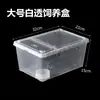 Caja de Cría para Reptiles Araña Rana Cornuda Caracol Hámster Gecko Caja para Mascotas Tanque para Tortugas Tanque de Cría para Cangrejo Ermitaño Caja para Basura
