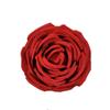 Decoración de flores de imitación rosa flor falsa flor DIY pared de flores exhibición floral decoración de ventana rosa rosa de concubina imperial cabeza de flor blanco