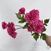 Flor de simulação 6 cabeças flor de hibisco decoração de casamento flor simulação planta verde flor peônia decoração de casa flor flor artificial