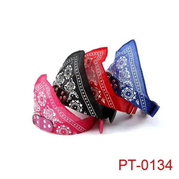 PT-0134