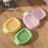 Nueva caja de hierba para gatos, planta hidropónica sin tierra, con forma de piña, semillas de trigo, hierba para gatos, planta en maceta, fábrica al por mayor