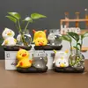 Mini Pato de Cerâmica Pothos Vaso Hidropônico Sala de Estar Varanda Micro Paisagismo Pequenos Enfeites Paisagismo em Vasos Acessórios para Casa