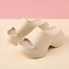 Zapatillas de Nueva Temporada EVA con Suela Gruesa Verano Exterior Hogar Lazo Antideslizantes Moda Chanclas de Interior para Mujer
