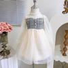 Vestido de Menina 2023 Primavera e Outono Novo Estilo Vestido Princesa de Renda para Menina Vestido Infantil Transfronteiriço Cabelo