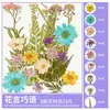 Paquete de Materiales DIY de Flores Secas Flores Prensadas Hechas a Mano Flores Conservadas Marcadores de Libros de Flores Prensadas Hojas de Árbol Real Plantas Pegatinas de Resina Maquillaje Facial