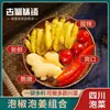 Sabor Shu Antiguo Picante Tres Tesoros Verduras Encurtidas de Sichuan Jengibre Encurtido Chile Encurtido Combinación de Verduras Encurtidas Sazonador de Pollo con Jengibre Encurtido Sabor a Plato Casero de Chile Encurtido