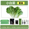 Maceta Grande para Verduras de Balcón Cebollín Cilantro Cebollín Pequeño Caja de Plantación Interior Maceta Grande Rectangular Gruesa de Plástico para Flores