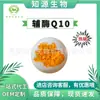 Coenzima Q10 98% Ubiquinona 10 Soluble en Lípidos y Liposoma 100g/Bolsa Stock Listo de Fábrica Venta al por Mayor
