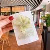 Grampo de cabelo de gaze com lantejoulas estilo coreano para crianças, grampo de cabelo com flor, nova cor sólida, gota d'água, BB, grampo lateral para franja de bebê