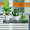 Estante Colgante de Escritorio de Hierro Estante de Almacenamiento Multicapa Estante para Macetas de Alféizar de Ventana Soporte para Plantas Suculentas de Escritorio de Oficina