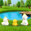 Micro Paisagem de Musgo Criativa Fofa Boneca Pato Pequeno Decoração DIY Miniatura Mini Enfeites de Resina
