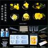 Planta seca flor coaster molde silicone abrasivo ferramenta em relevo cristal artesanal epóxi diy material resina AB cola caseira