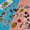 Marcador de Página Marcador de Planta Espécime Folhas em Relevo Nervuras de Folhas Estilo Antigo Artesanal Espécime Clássico Material para Estudantes Manual
