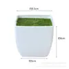 Vaso de Flor de Plástico Liso de Fábrica Vaso Pequeno Quadrado Mini para Mudas de Plantas Suculentas Vaso de Flor Doméstico de Varanda Estilo de Comércio Exterior Transfronteiriço