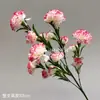 Simulação Cravo Seda Borda Macia Pétalas Fibras Macias Dianthus Colocação em Móveis Dia das Mães Decoração de Casamento Flor Artificial Materiais