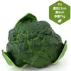 Adereços de vegetais de simulação modelo de vegetal de simulação folhas de alface falsas brócolis repolho adereços de supermercado frutas e vegetais crianças