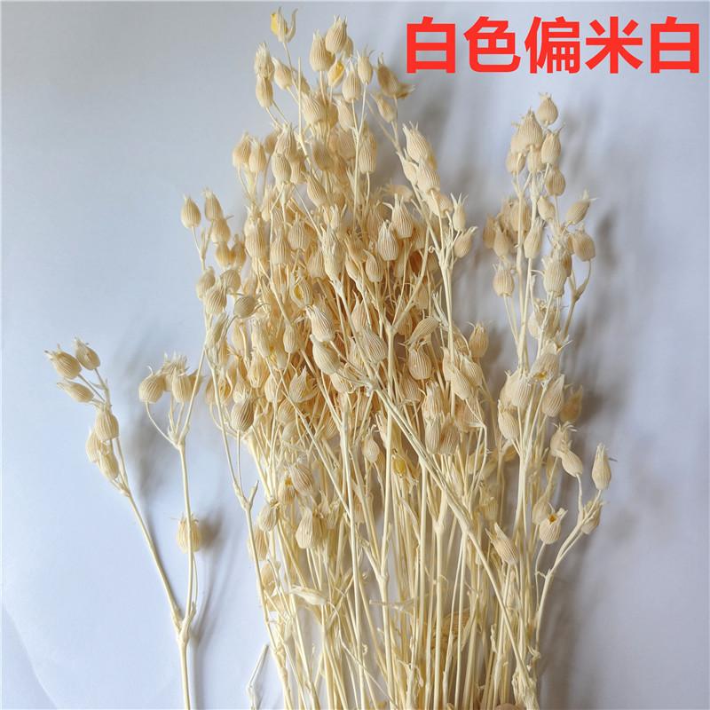 IMG_20230427_112238_副本_副本.jpg