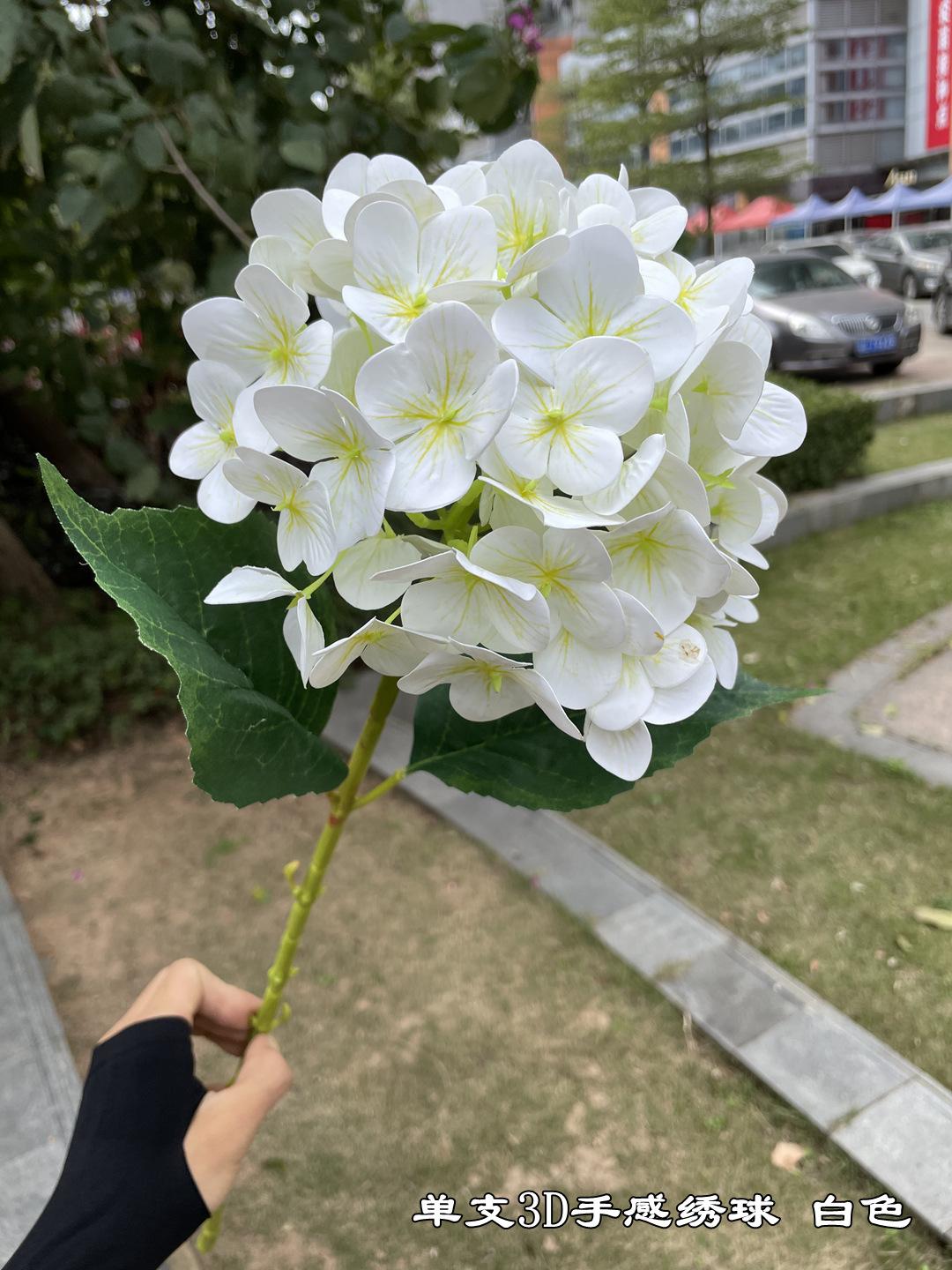 微信图片_20211117143924.jpg