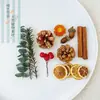 Virutas de Madera Cáscara de Nuez Material Planta Taibao Especimen Piña de Pino Paquete de Materiales de Flores Secas DIY Chen Mai Hecho a Mano Bellota Seca Marco de Fotos