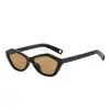 Nuevas Gafas de Sol Poligonales Personalizadas 2026 para Hombres y Mujeres, Estilo Europeo y Americano, Moda Versátil de Gama Alta, Gafas de Sol de Moda Transfronterizas